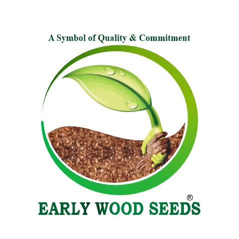 Early-Wood-Group.png